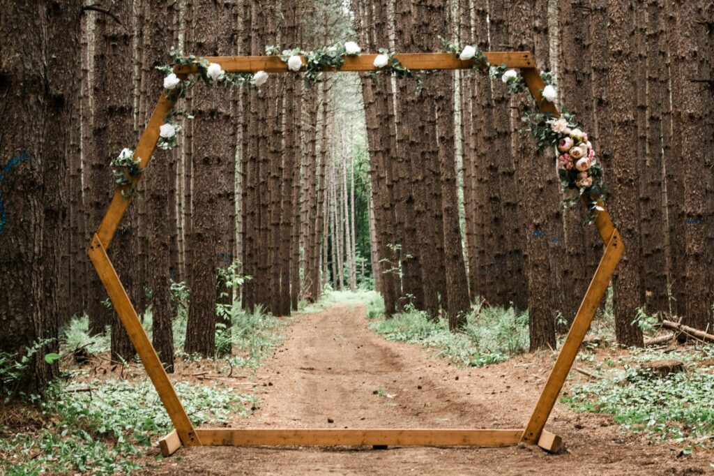 matrimonio nel bosco