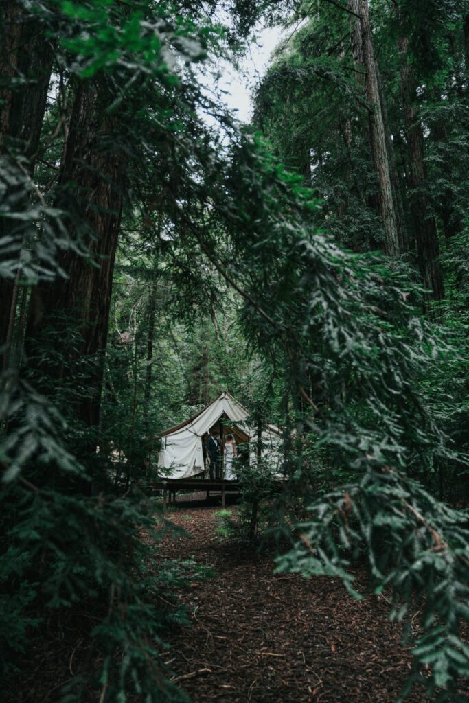 matrimonio nel bosco